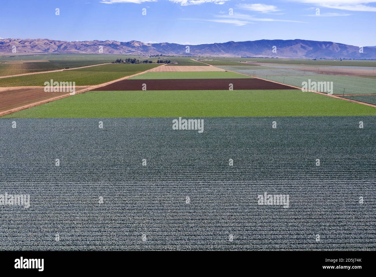 Veduta aerea dei campi di lattuga nella fertile Valle di Salinas Nella contea di Monterey, California Foto Stock