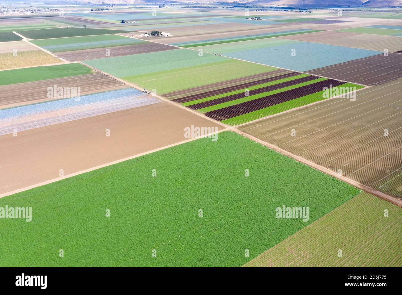Vista aerea del disegno a scacchiera delle colture di lattuga che crescono Nella fertile Valle di Salinas in California Foto Stock