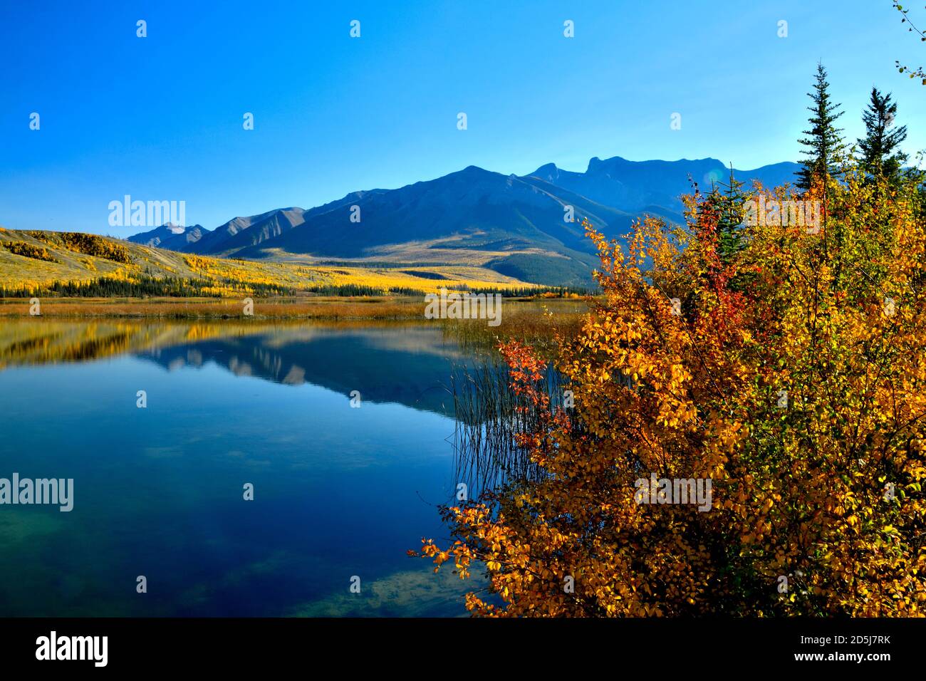 Un'immagine di paesaggio autunnale del lago Talbot con colori autunnali in una giornata tranquilla nel Jasper National Park in Alberta Canada. Foto Stock