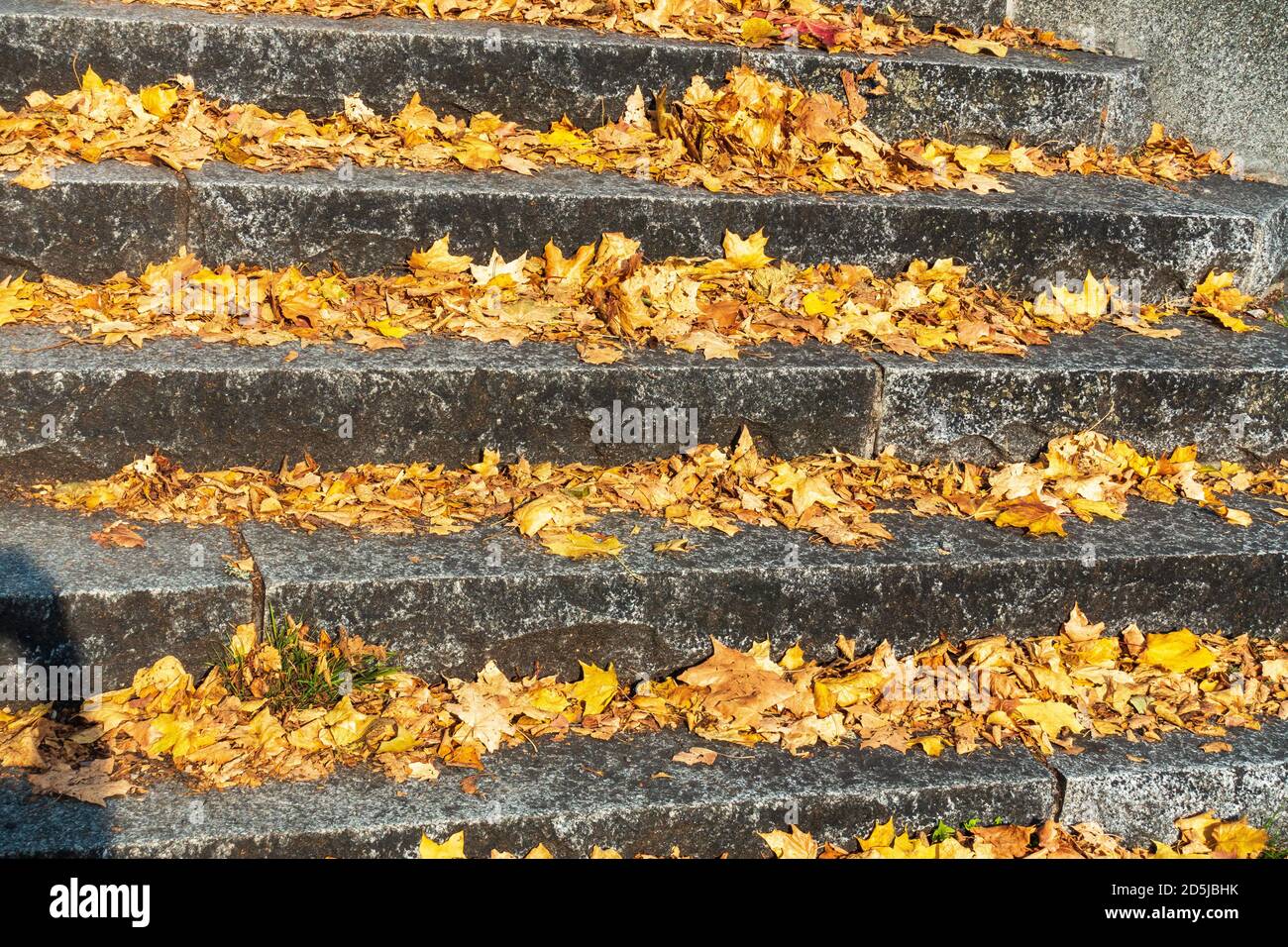 Foglie d'autunno secche e colorate sulle scale di pietra a Turku Finlandia Foto Stock