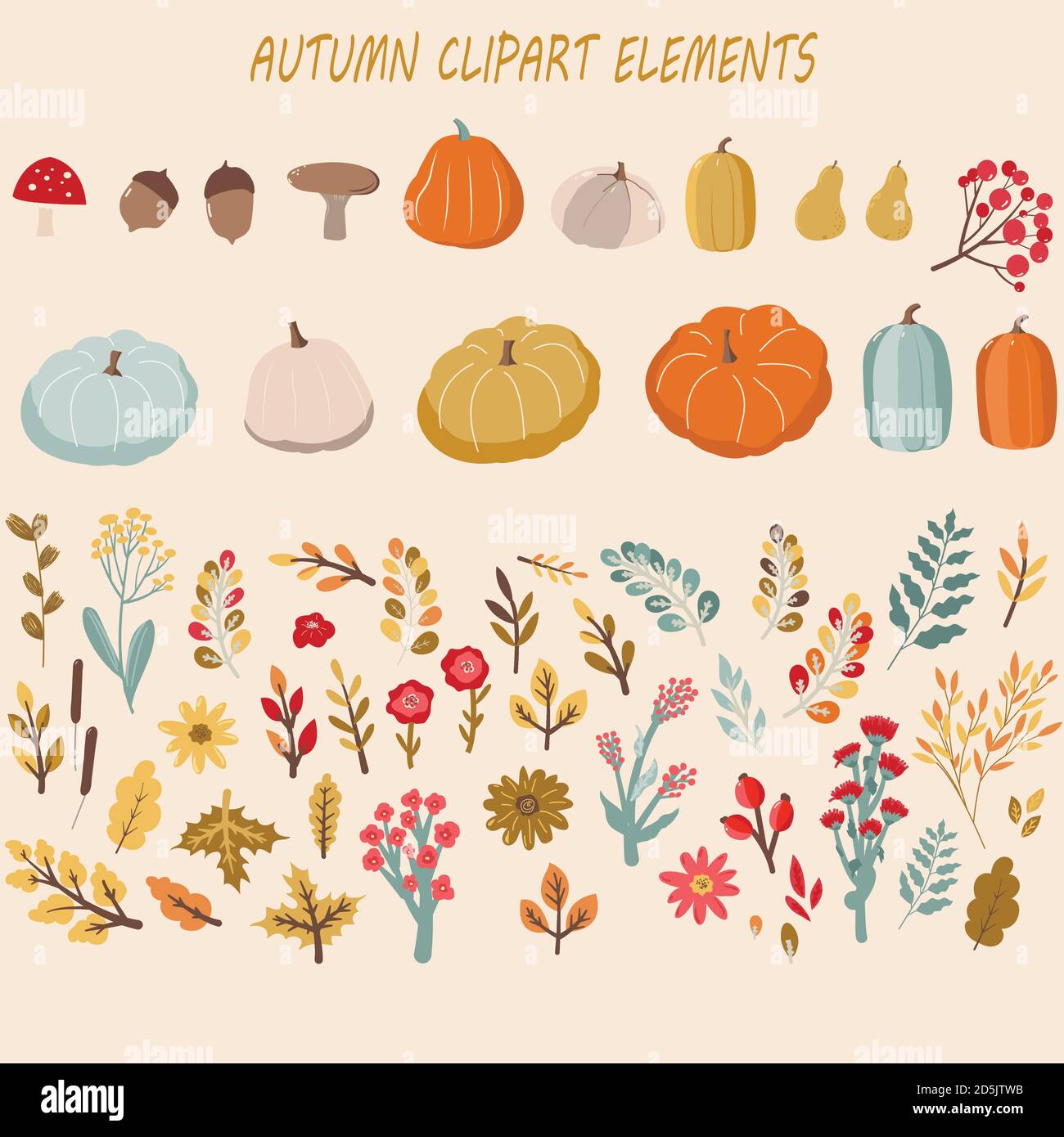 Set autunno, elementi disegnati a mano, foglie di caduta, zucche e altro. Illustrazione Vettoriale