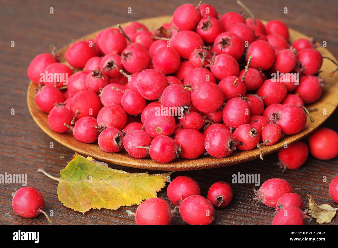 Bacche per la medicina tradizionale. Biancospino maturo su sfondo ligneo. Foto Stock