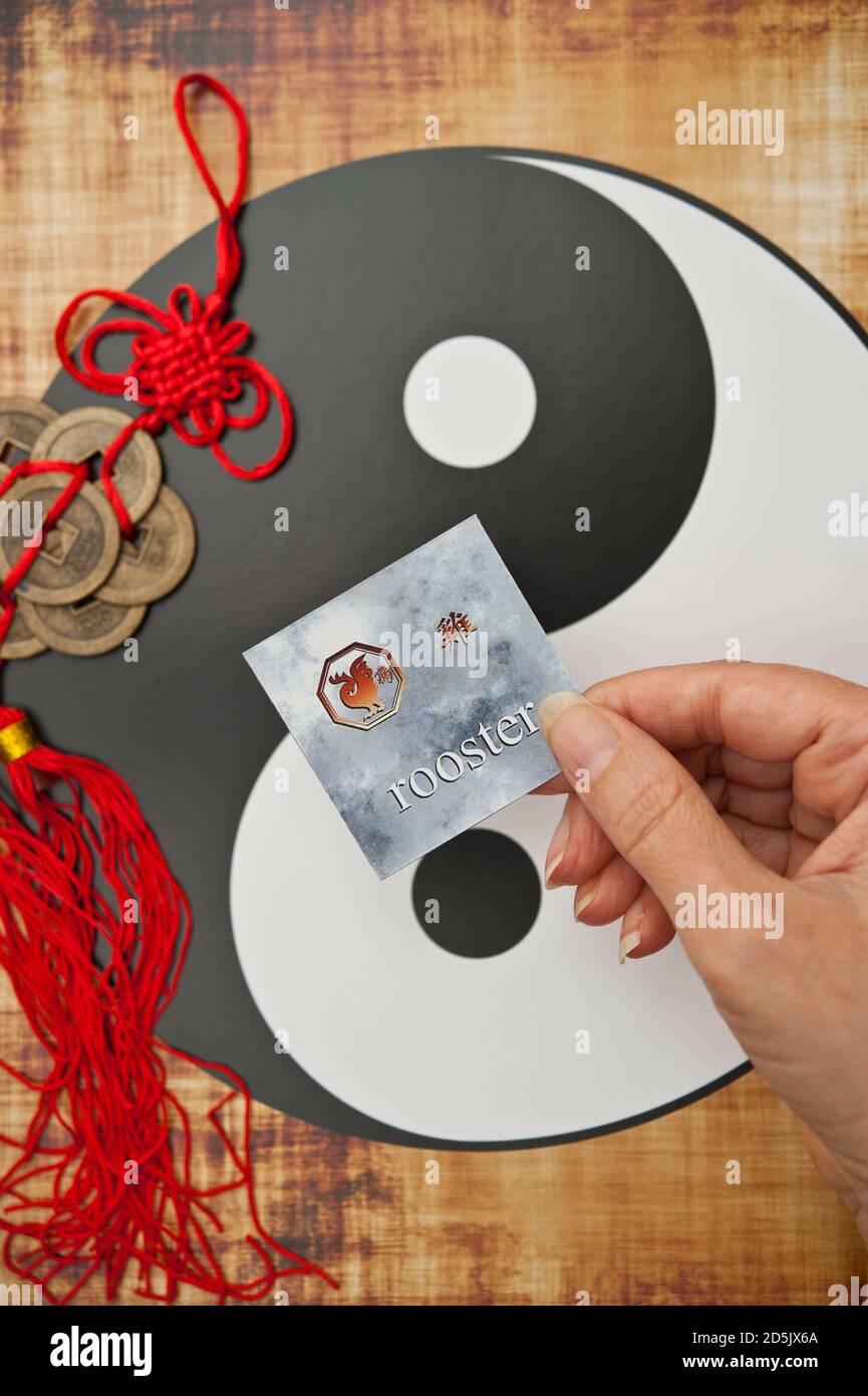 Mano che tiene una scheda con il segno di astrologia cinese di Gallo Foto Stock