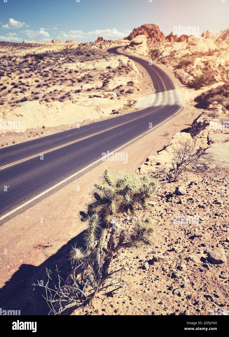 Cactus da una strada desertica nel Valley of Fire state Park, colore tonificante applicato, fuoco selettivo, Nevada, USA. Foto Stock