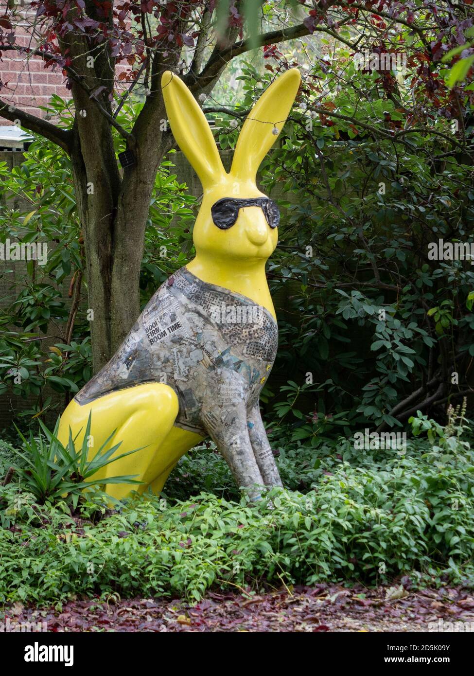 Coniglio o lepre grande, giallo brillante che indossa occhiali scuri e gilet di giornale in giardino a Sutton, Norfolk, UK. Foto Stock