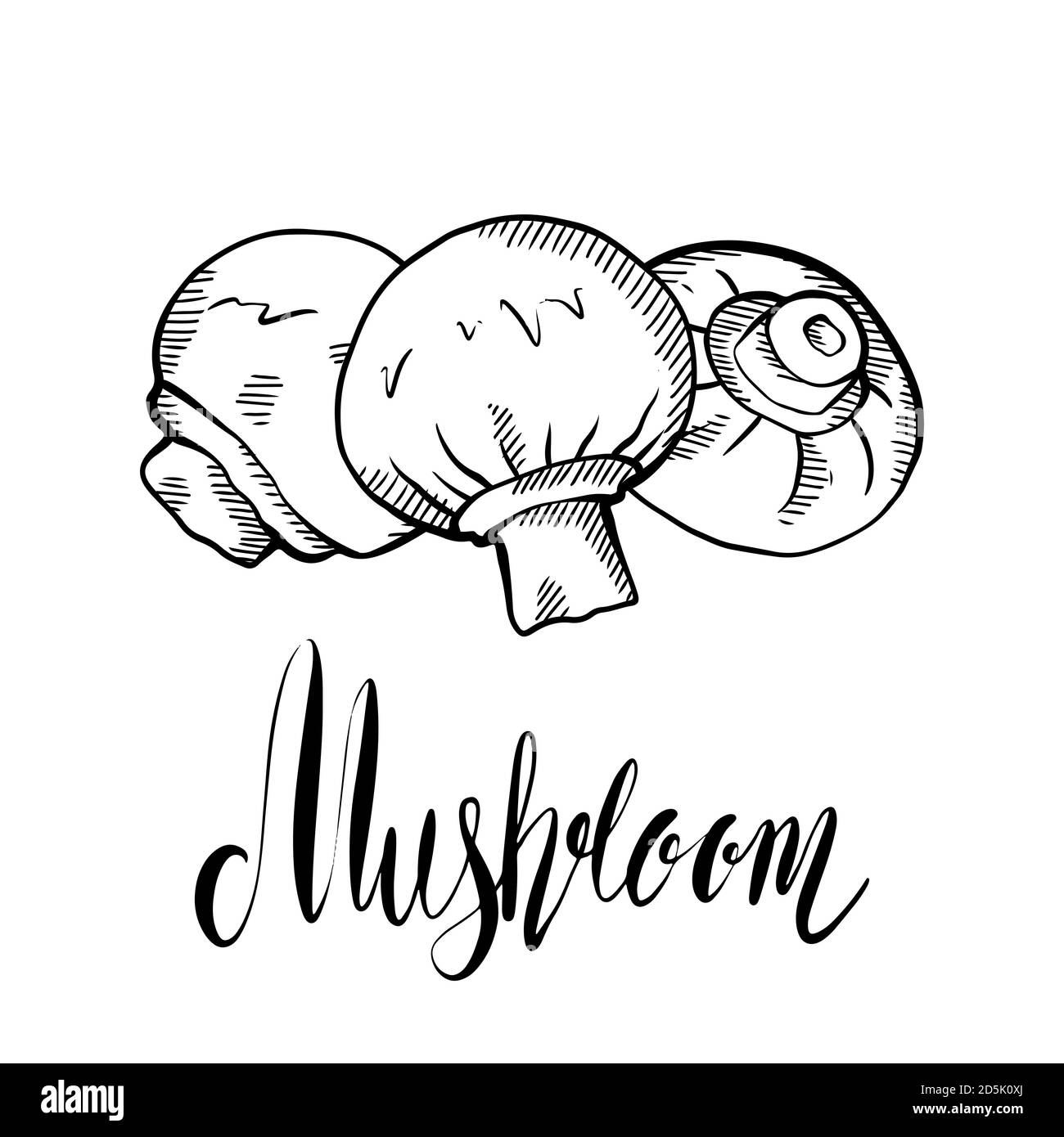 Schizzo illustrazione disegnata a mano di funghi champignon con schiusa e scritta. Cibo sano naturale e calligrafia citazione. Vettore scribble elemen Illustrazione Vettoriale