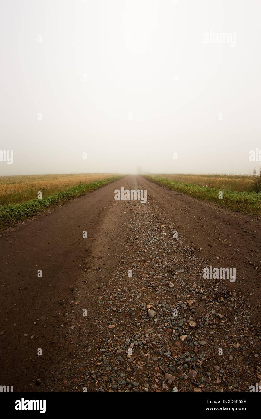 Una strada in ghiaia conduce alla nebbia sui campi della Finlandia rurale. Le mattine autunnali sono molto nebbie nella parte settentrionale del paese. Foto Stock