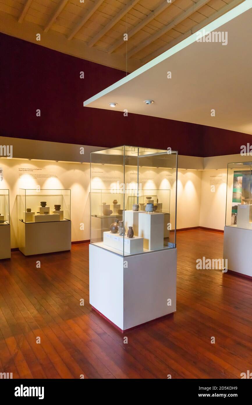 La galleria della cultura amazzonica, 'Museo Nazionale di Archeologia, Antropologia e Storia del Perù', Lima, Perù, Sud America Foto Stock