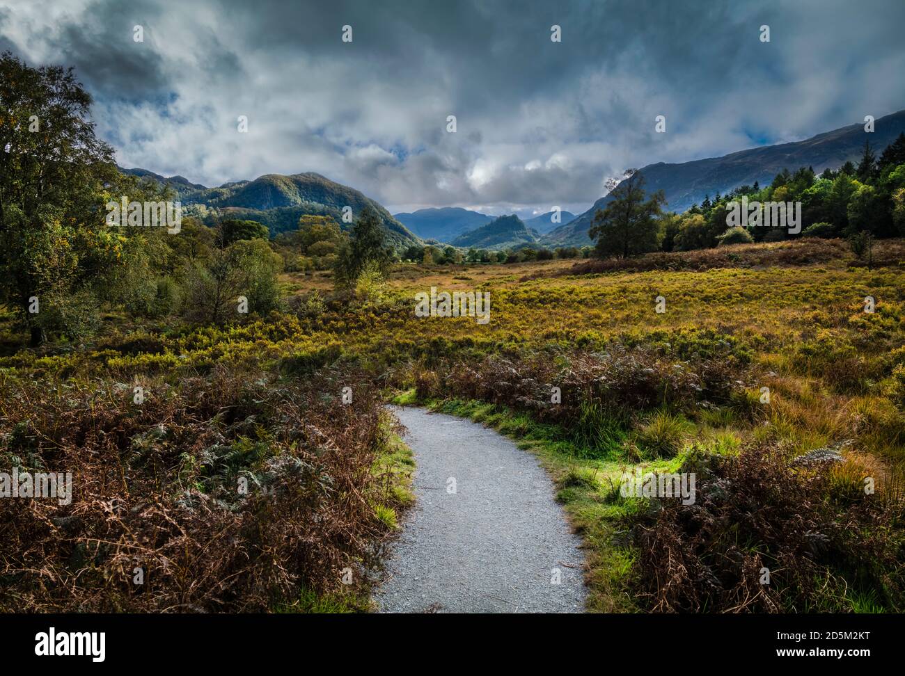 La passeggiata circolare di Derwentwater intorno al lago, Borrowdale, Keswick, Lake District, UK Foto Stock