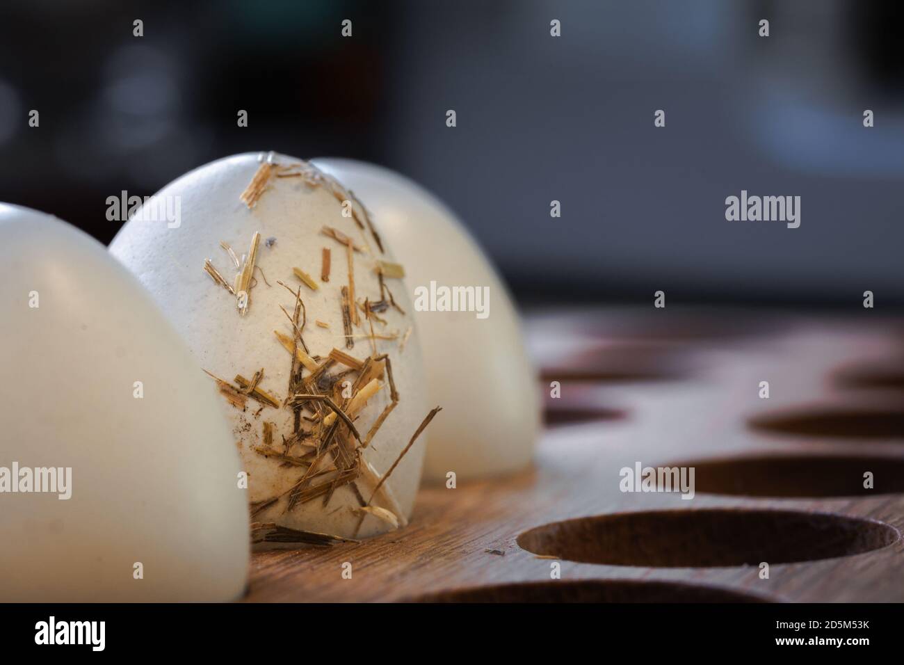 Tre uova fresche di galline ricoperte di paglia in un supporto in legno in cucina. Gli ingredienti di fondo scuro del cibo producono un'alimentazione sana. Foto Stock