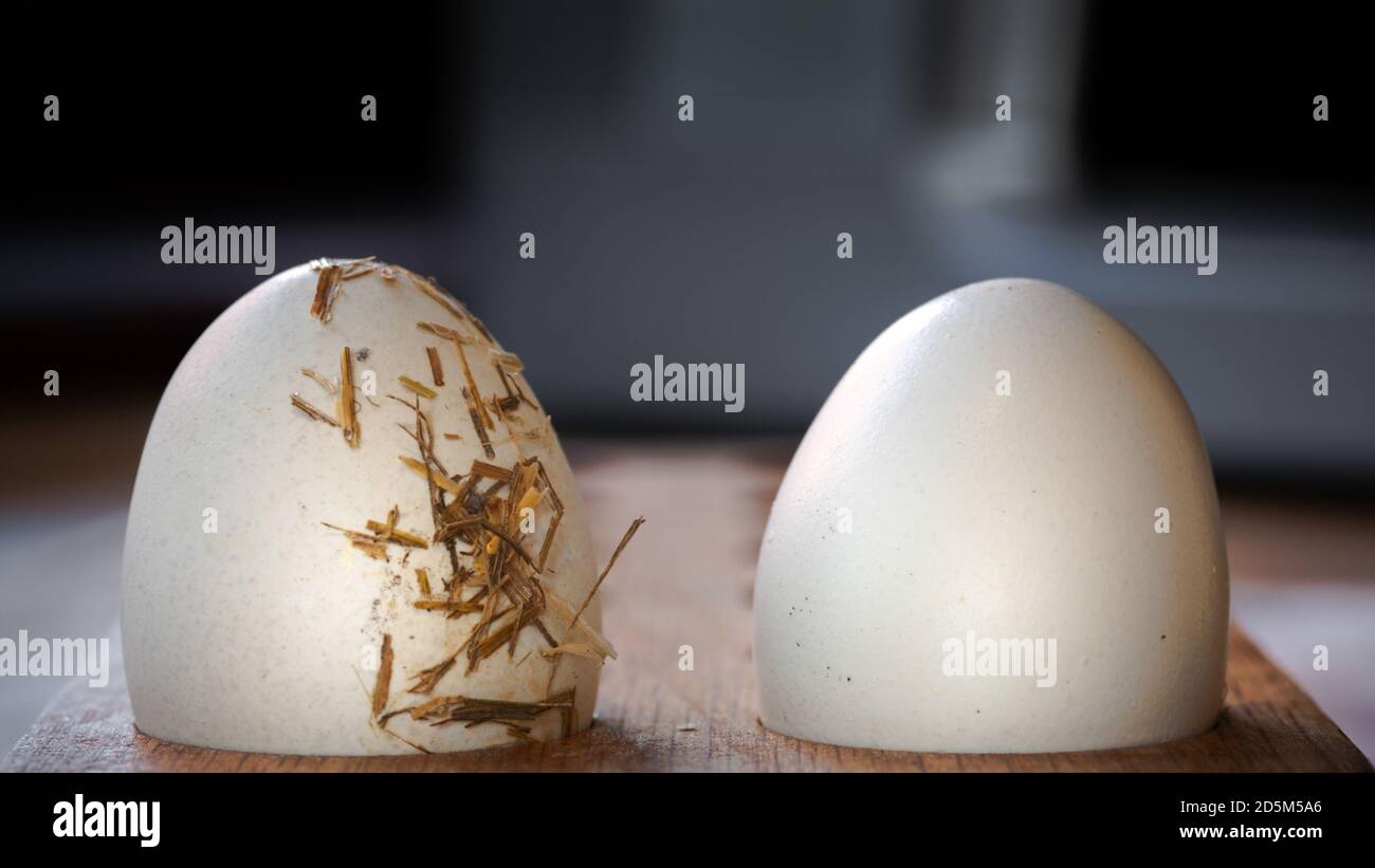 Due uova fresche di galline in un supporto in legno in cucina. Gli ingredienti di fondo scuro del cibo producono un'alimentazione sana. Foto Stock