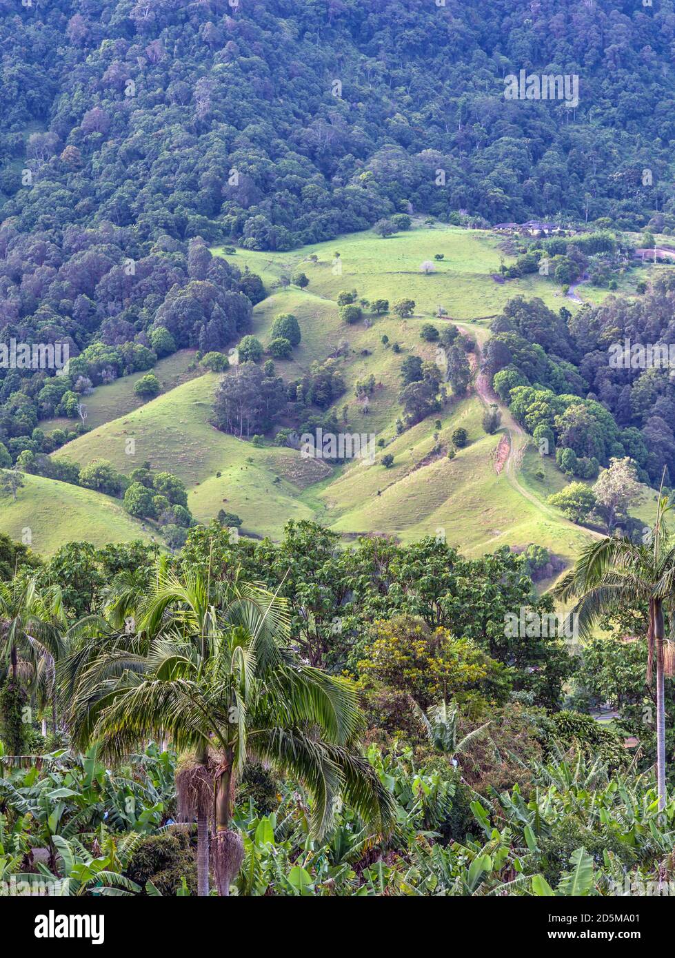 Gold Coast, Queensland, Australia. Paesaggio semi-tropicale nell'entroterra dalla Gold Coast. Foto Stock