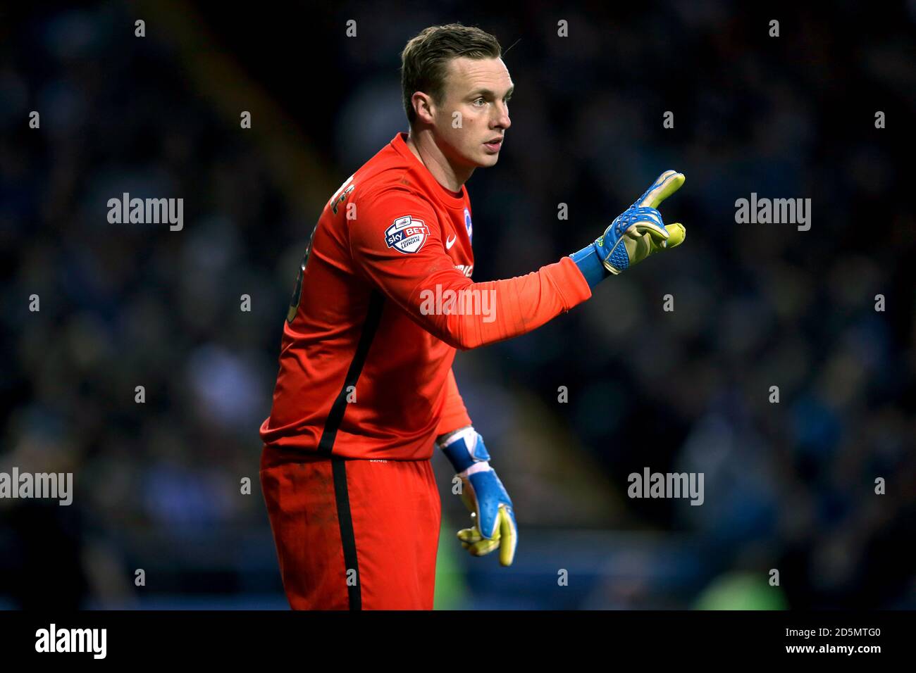 David Stockdale di Brighton Foto Stock