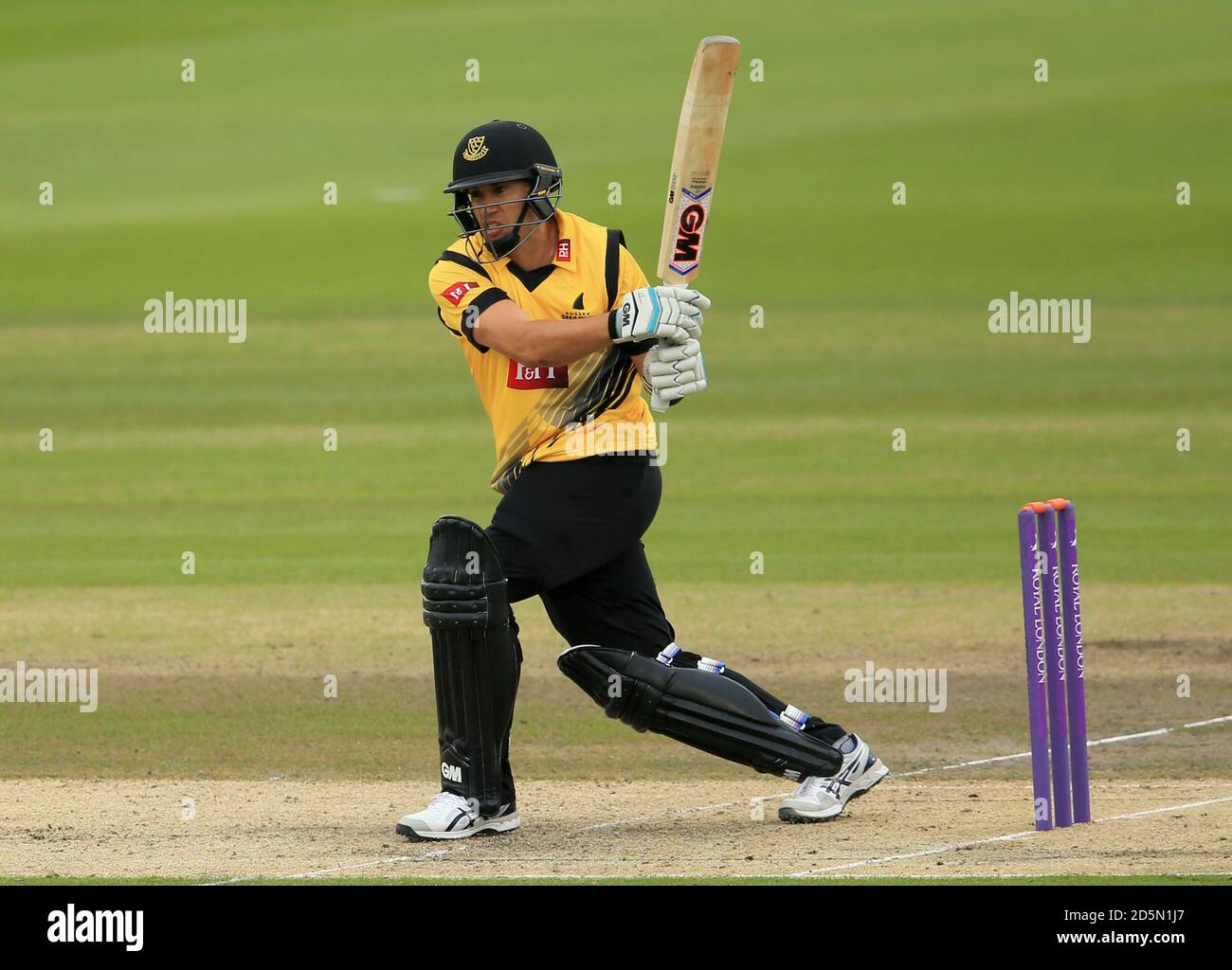 Ross Taylor di Sussex in azione di battuta Foto Stock