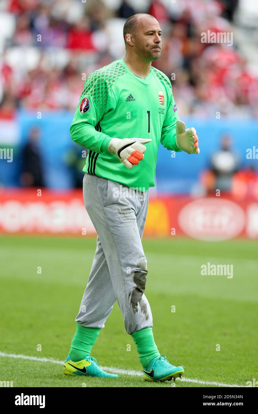 Il portiere ungherese Gabor Kiraly Foto Stock