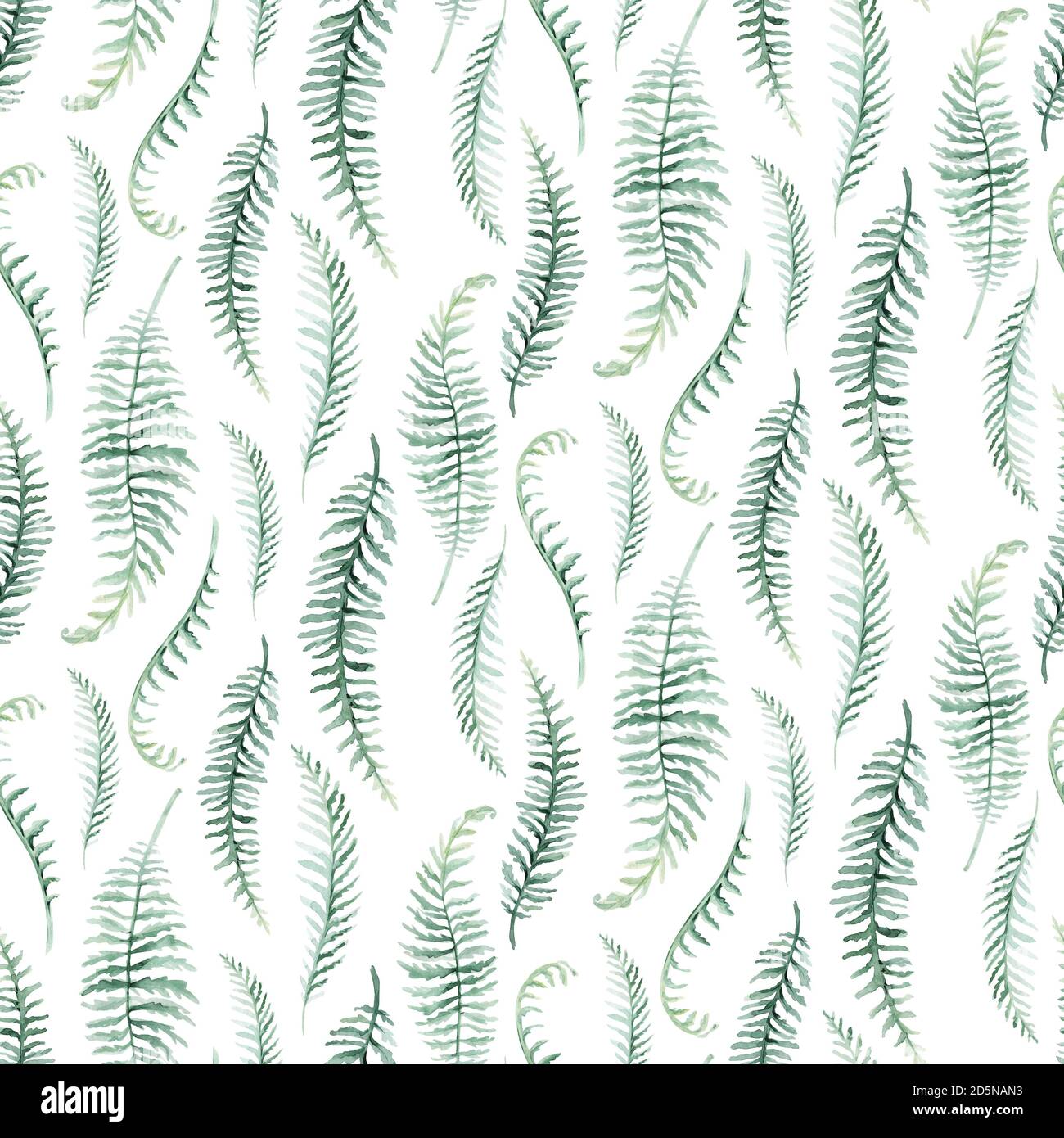 Carino cartoon baby dinosaurs collezione illustrazione acquerello, dipinto a mano dino isolato su uno sfondo bianco per la decorazione di poster per vivaio. Rex Foto Stock