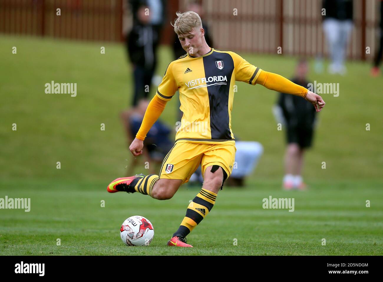 Stephen Humphrys, Fulham Foto Stock