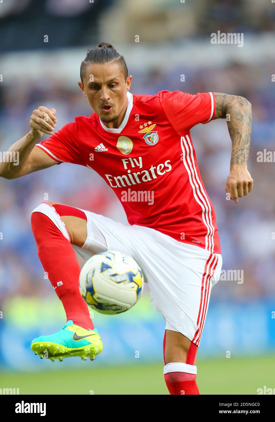 incontro napoli benfica