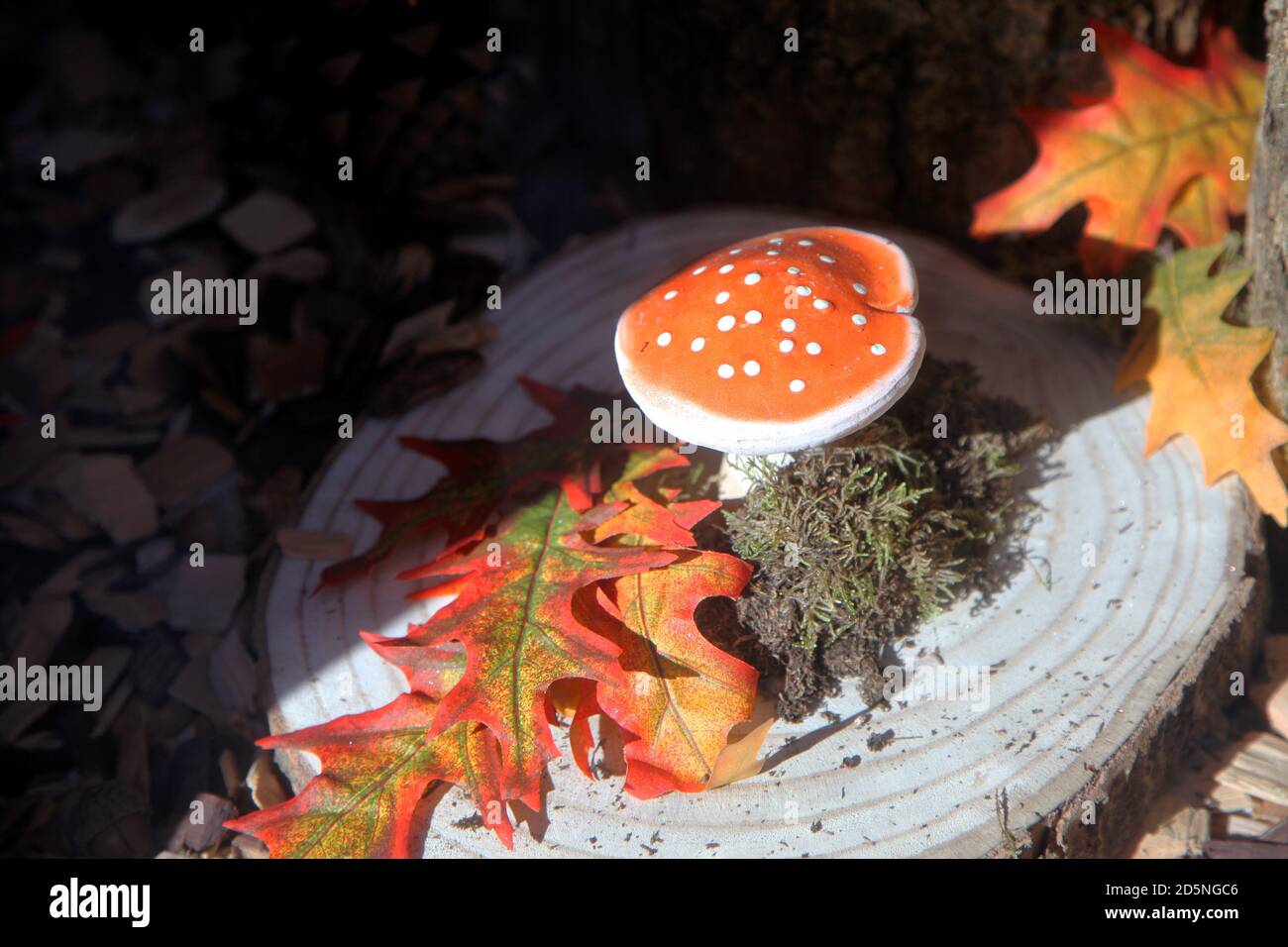 Vetrina di mostra ornamentale Fly Agaric fungo ad Amsterdam Foto Stock