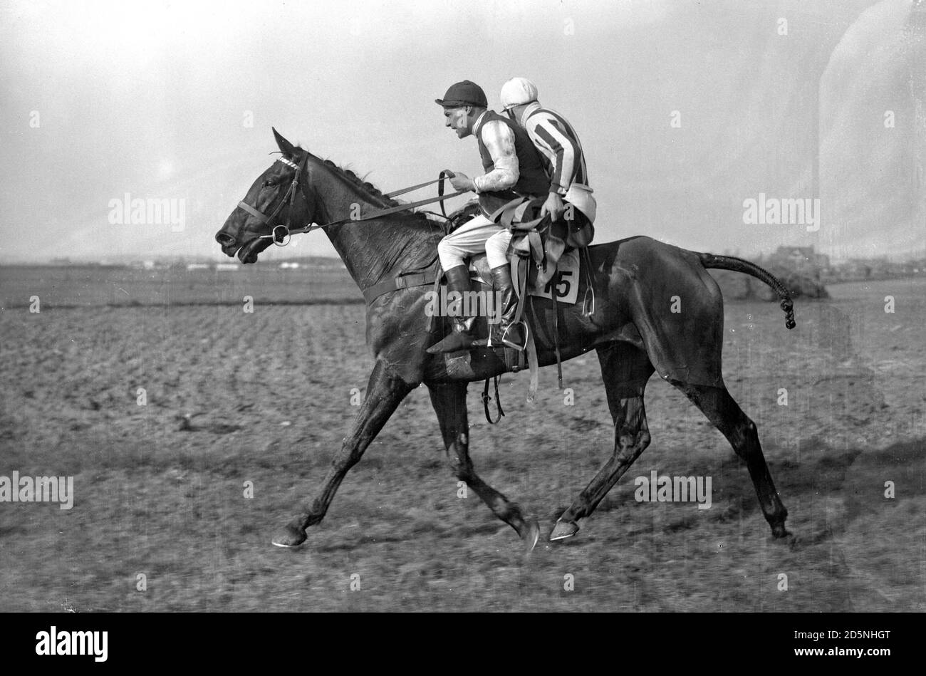 Il sig. McKeever guida 'la luce di guida 'e dando T.E. Leader un ascensore di ritorno al paddock dopo che il suo cavallo 'Swift Rowland' era stato ucciso quando è caduto a Becher's Brook. Un altro cavallo, 'Drin', ha dovuto essere eutanizzato dopo aver incorrito una frattura della gamba al Brook di San Valentino. Foto Stock Il sig. McKeever guida 'la luce di guida 'e dando T.E. Leader un ascensore di ritorno al paddock dopo che il suo cavallo 'Swift Rowland' era stato ucciso quando è caduto a Becher's Brook. Un altro cavallo, 'Drin', ha dovuto essere eutanizzato dopo aver incorrito una frattura della gamba al Brook di San Valentino. Foto Stock