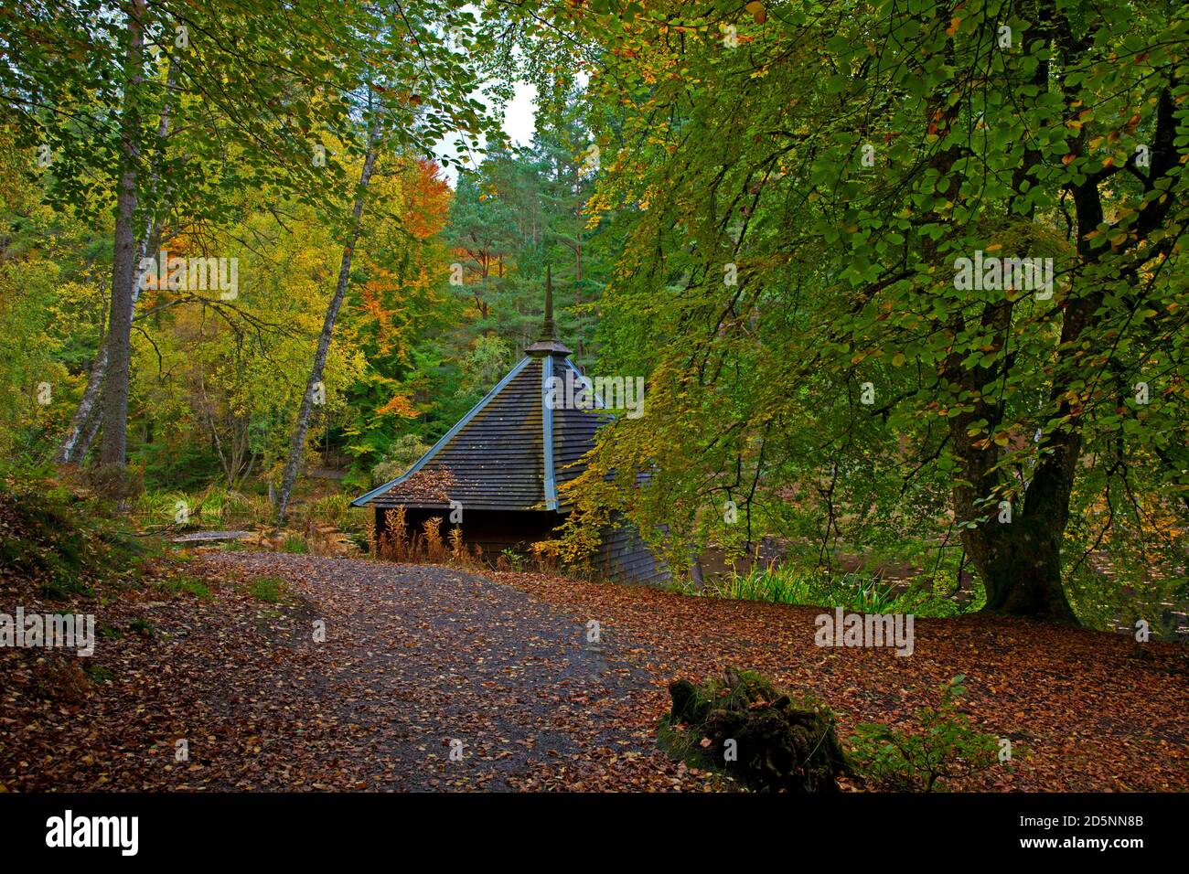 Perthshire, Scozia, Regno Unito, Loch Dunmore. 14 ottobre 2020. Fogliame autunnale a Faskally Woods, e intorno al lago vicino Pitlochry, Scozia, Regno Unito. Foto Stock