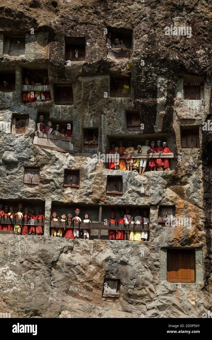 Vista verticale di un sito di sepoltura Torajan scolpito in pietra con effigi tau tau in legno del defunto messo nella grotta di Lemo Village, Sulawesi, Indonesia Foto Stock