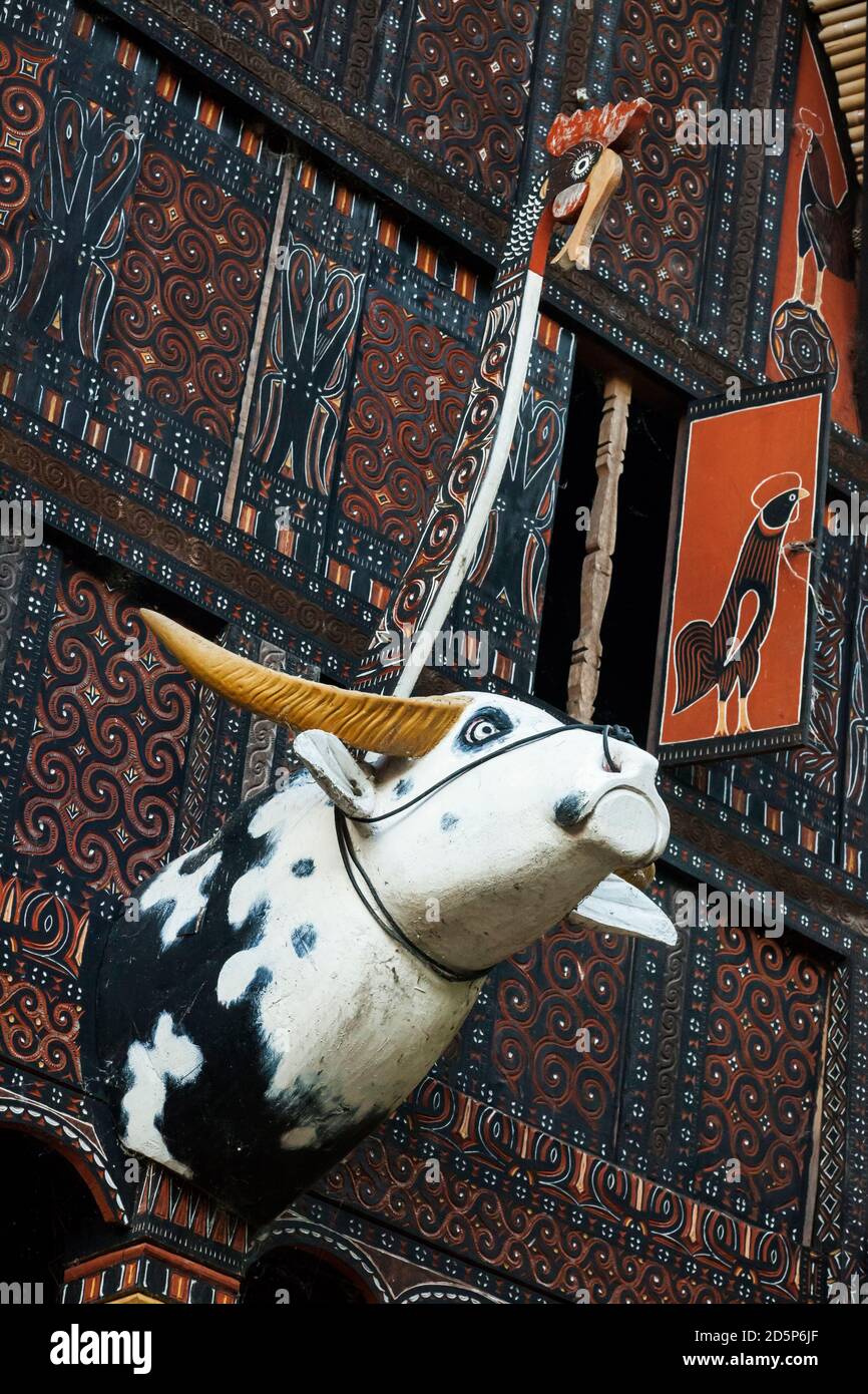 Vista ravvicinata verticale di una testa di bufalo, in legno dipinto, appesa su una façade tongkonana nel villaggio di Bori, Tana Toraja, Sulawesi, Indonesia Foto Stock