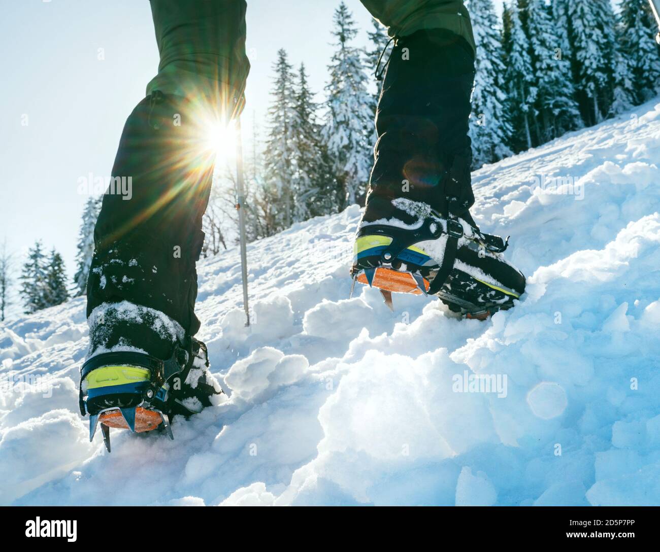 Primo piano di scarponi da montagna con ramponi e ghette da neve con raggi  solari retroilluminati e spruces nevosi sullo sfondo Foto stock - Alamy