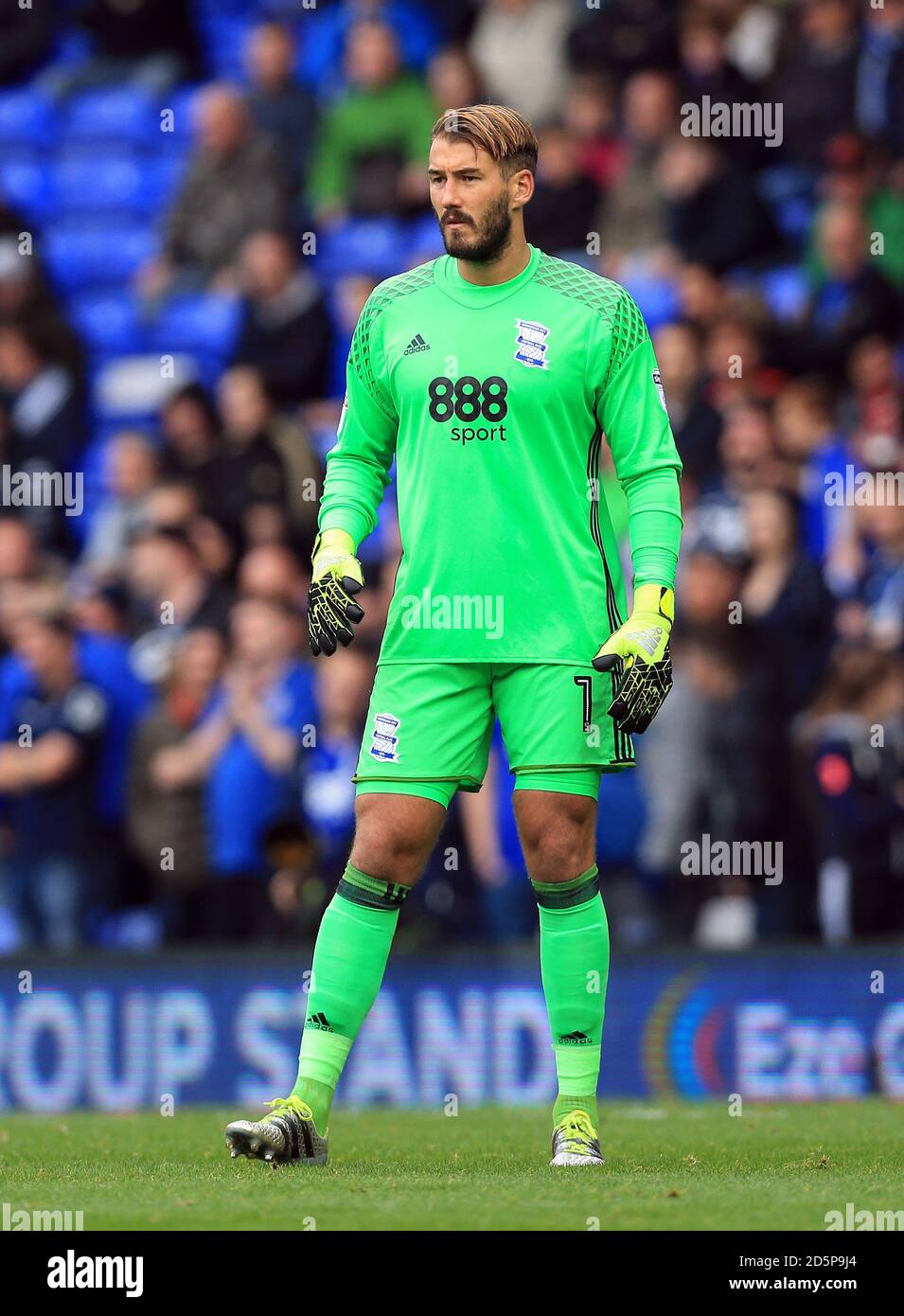 Adam Legzdins, portiere della città di Birmingham Foto Stock
