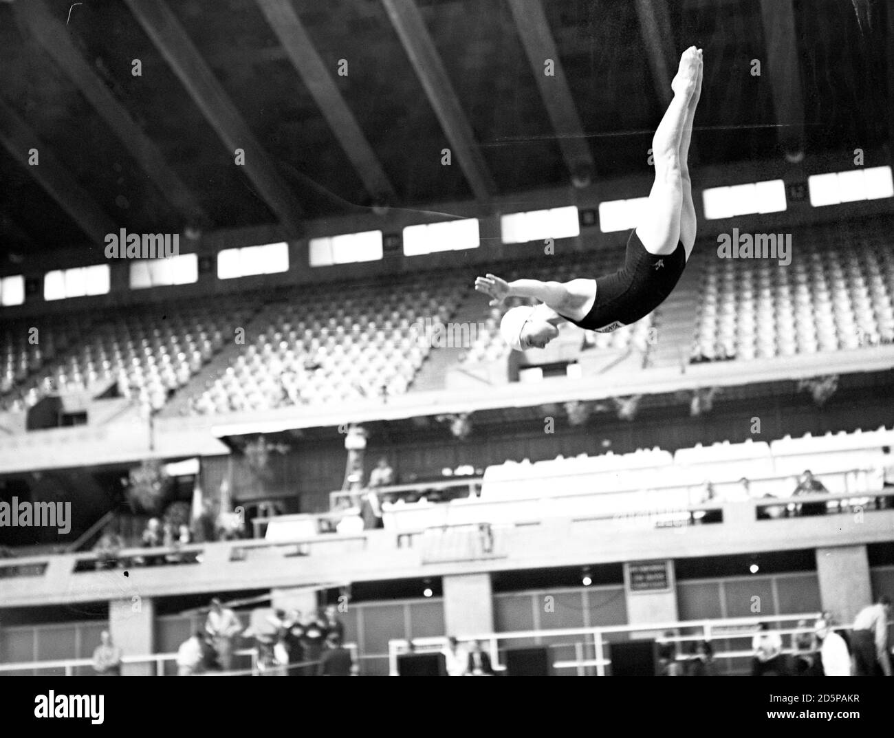 Miss Betty Slade, della Gran Bretagna, deglutire-diving dal trampolino durante l'evento di immersione da Springboard per Signore al Campionato europeo di nuoto, Empire Pool, Wembley. Foto Stock