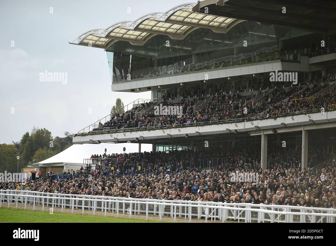 Una visione generale della folla negli stand a. Ippodromo di Cheltenham Foto Stock