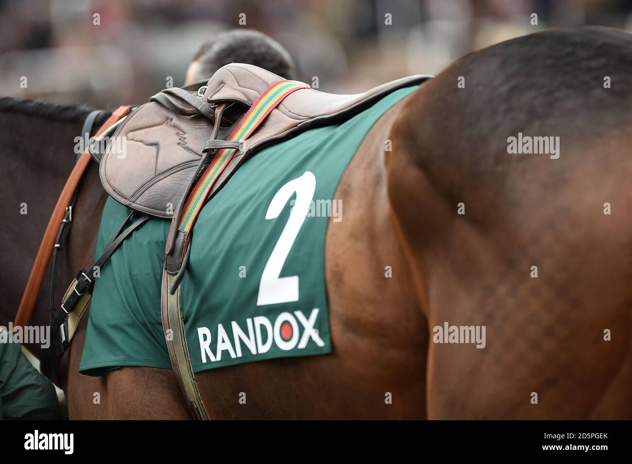 Randox Health marcare a caldo su un cavallo nell'anello della parata Foto Stock