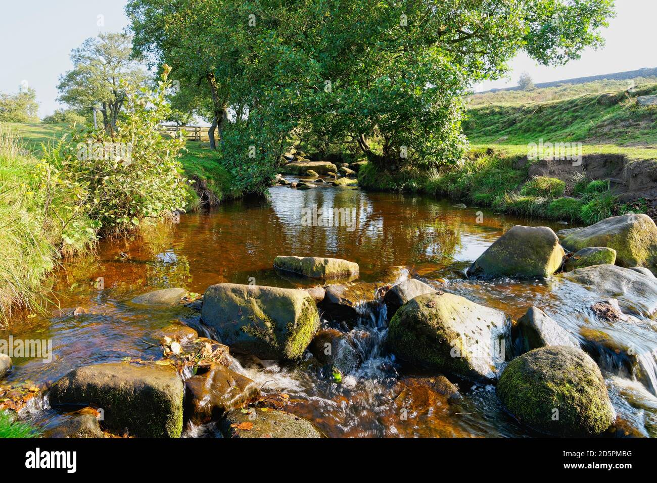 Burbage Brook scorre su rocce di pietra calcarea in una mistosa mattina d'autunno nel distretto Derbyshire Perak. Foto Stock