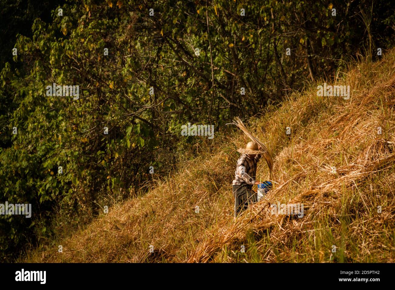 Contadino balinese con abiti tradizionali e un cappello di paglia a. Campuhan Ridge Walk a Bali Foto Stock