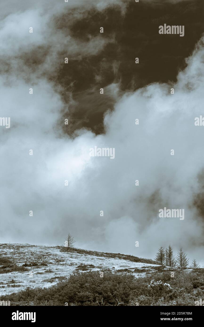 Spettacolari nuvole nel cielo su alberi di pino a Tountinna, Tonn Toinne, nelle montagne di Arra sulla Lough Derg Way, County Tipperary, Irlanda Foto Stock