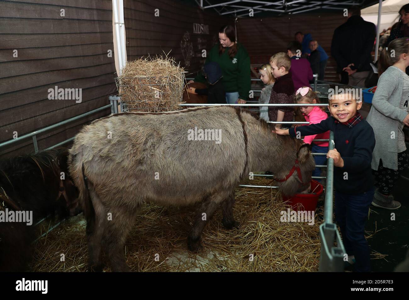 Bambini con Betty l'asino nella Family Fun zone Presso l'ippodromo di Cheltenham Foto Stock