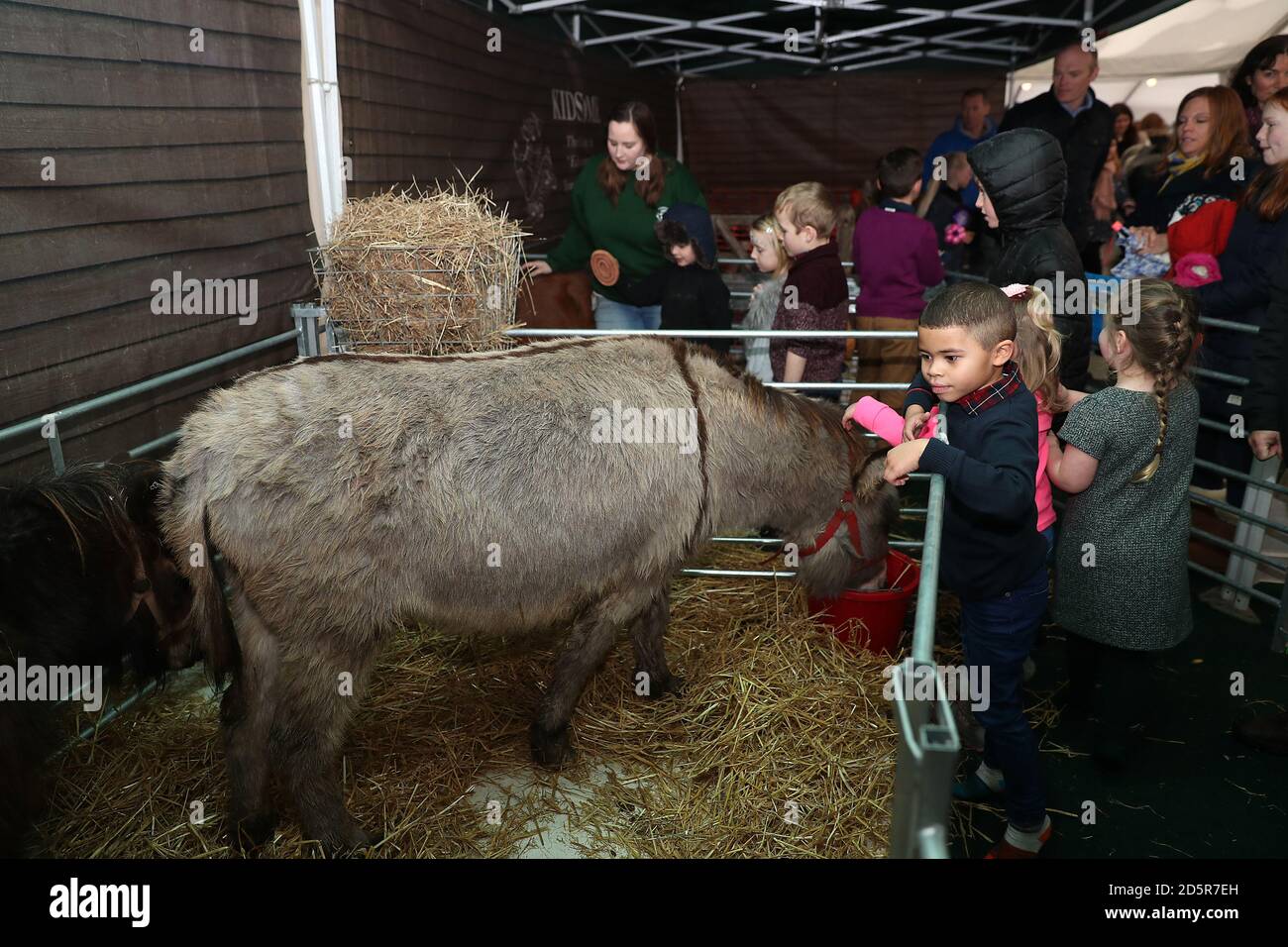 Bambini con Betty l'asino nella Family Fun zone Presso l'ippodromo di Cheltenham Foto Stock