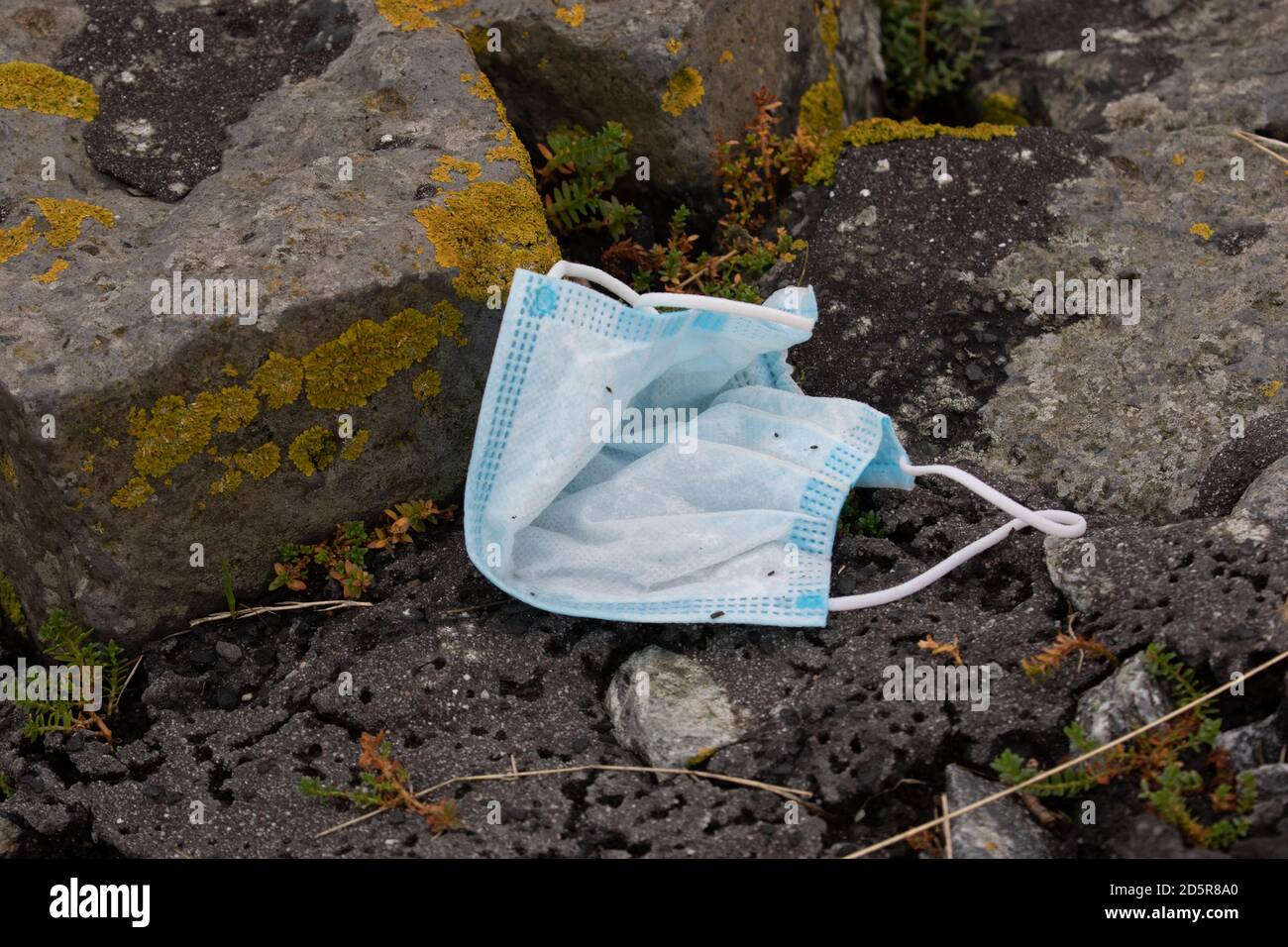 Maschera medica scartata tra le rocce. Bassa Sassonia. Germania. Foto Stock