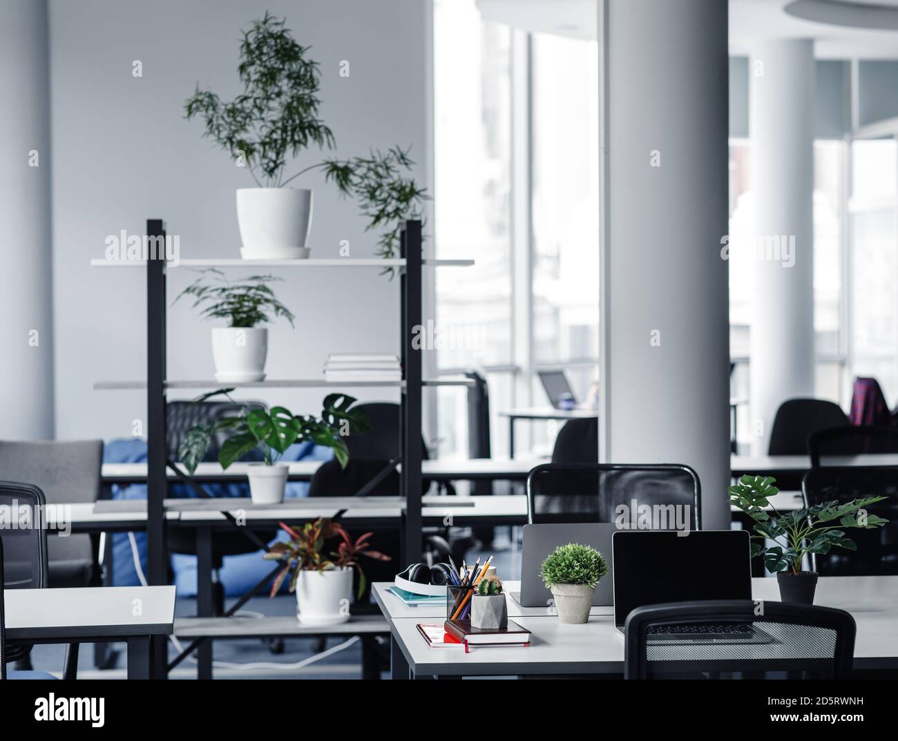 Interni moderni e intimi loft per uffici e nuovo normale. Molte piante nella sala operaia con tavoli Foto Stock
