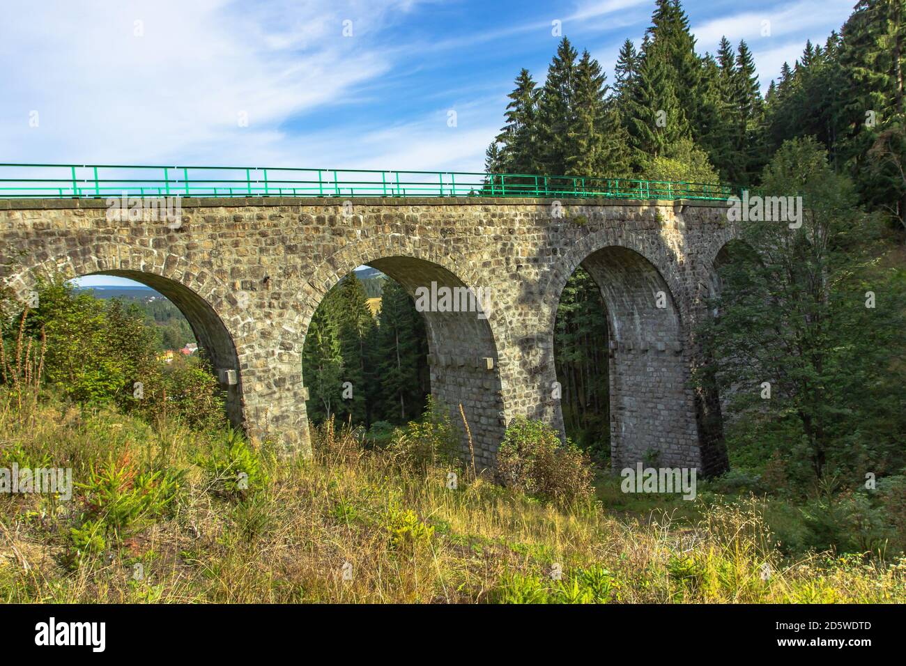 Vista del Viadotto ferroviario in pietra in un piccolo villaggio di Pernink, repubblica Ceca. Vecchia linea ferroviaria ceca. Ponte ad arco d'epoca Foto Stock