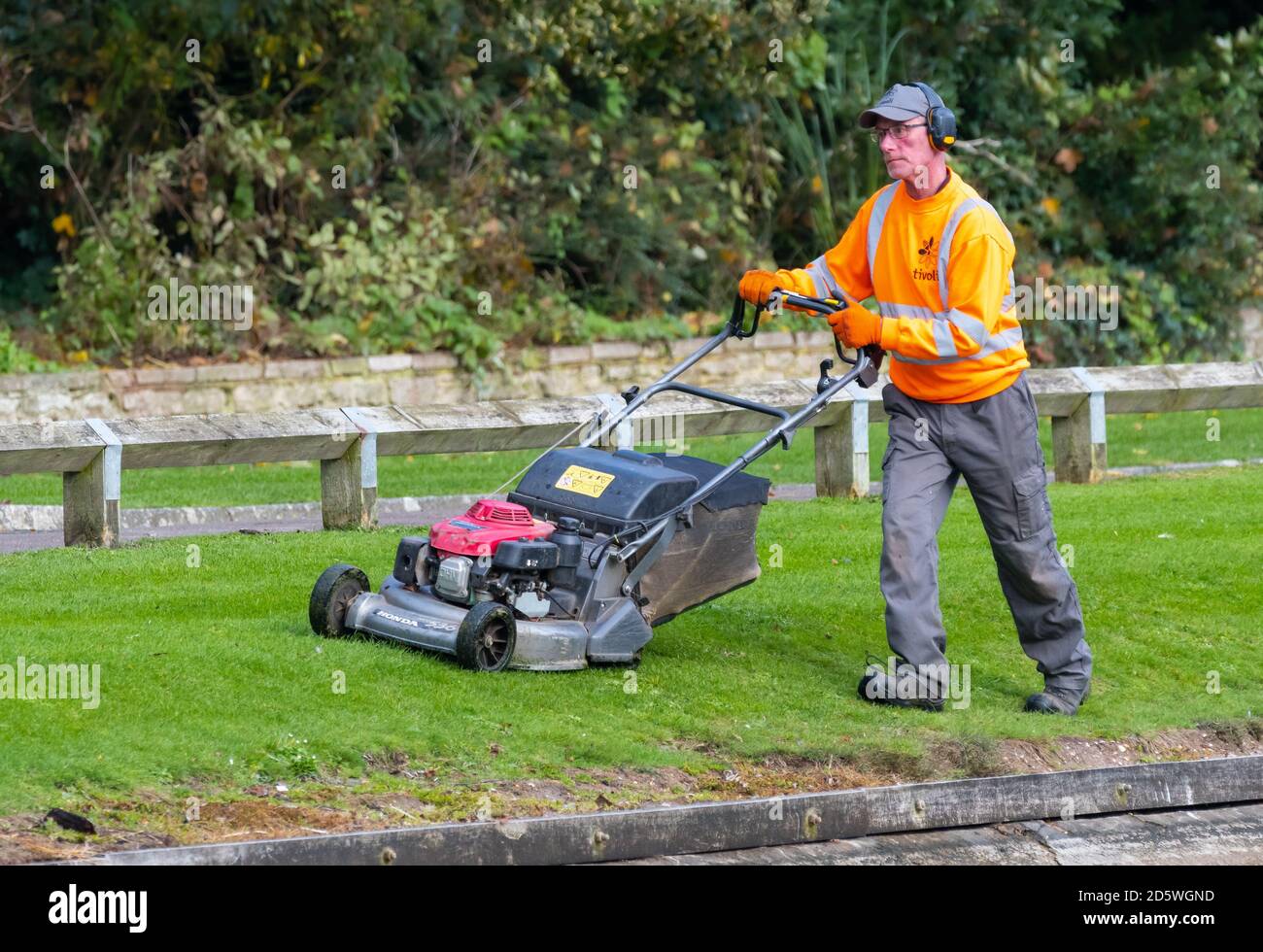Giardiniere o lavoratore che spinge un tosaerba a benzina per tagliare l'erba in un parco in Inghilterra, Regno Unito. Foto Stock
