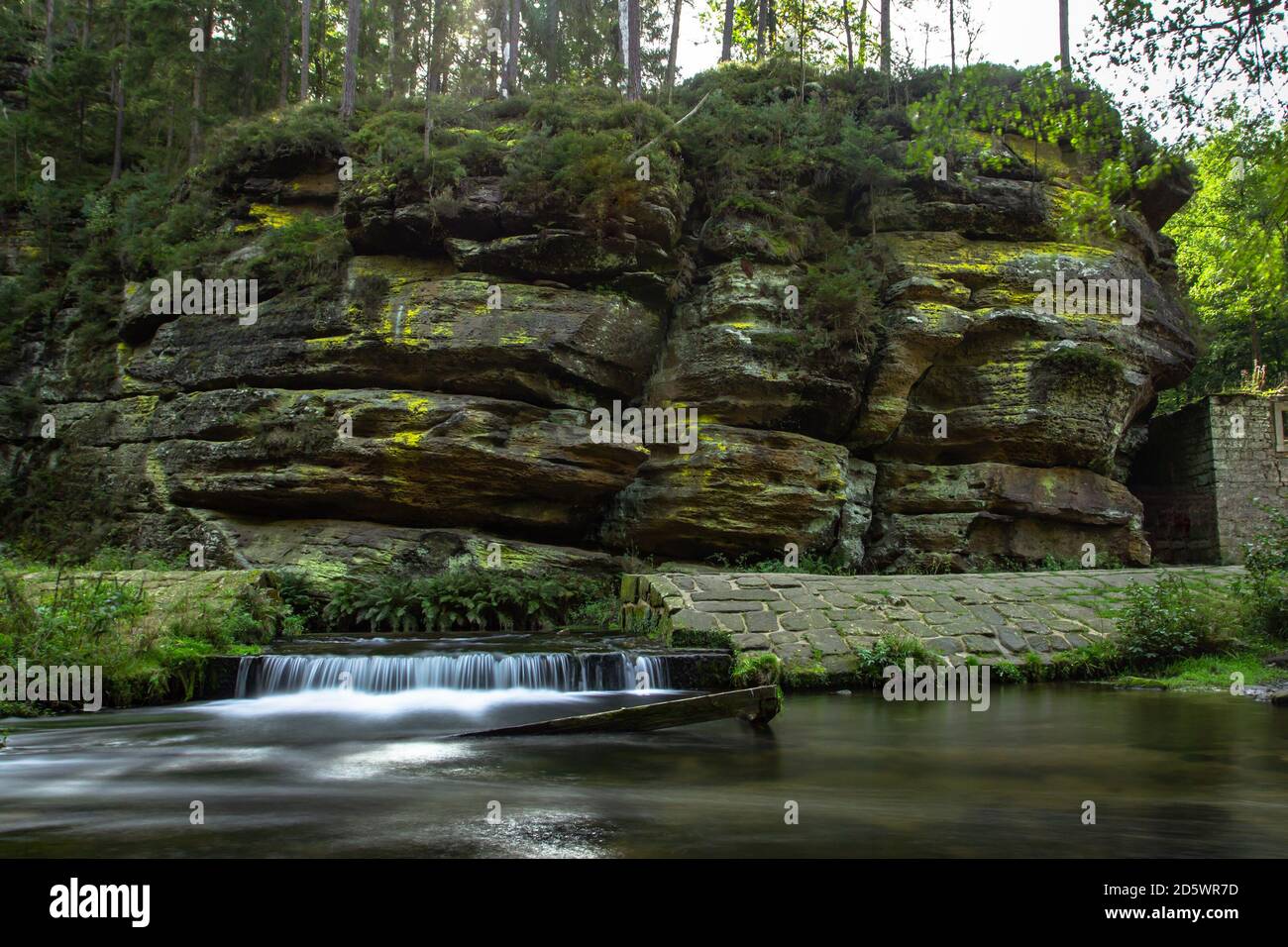 Splendida vista sul piccolo ruscello nel Parco Nazionale della Svizzera Boemia. Terra fiabesca. Mitico bellissimo paesaggio naturale del Monte Elbe in pietra arenaria Foto Stock