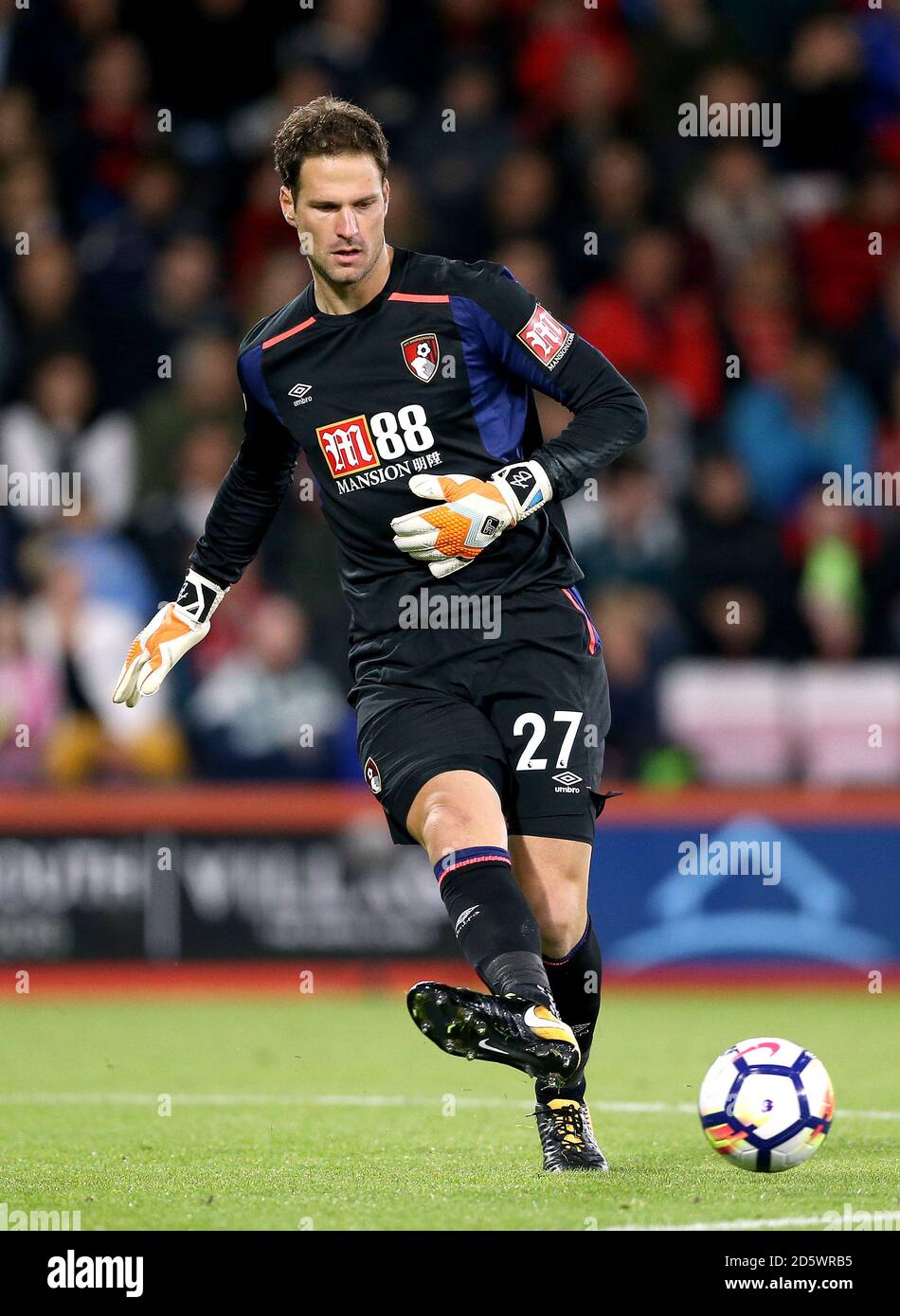 AFC Bournemouth portiere Asmir Begovic Foto Stock