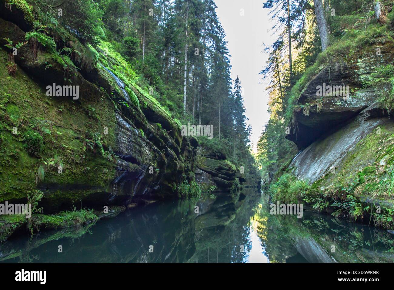Splendida vista sulla Gola di Edmund nel Parco Nazionale della Svizzera Boemia. Terra fiabesca. Mitico bellissimo paesaggio naturale del Monte Elbe in pietra arenaria Foto Stock
