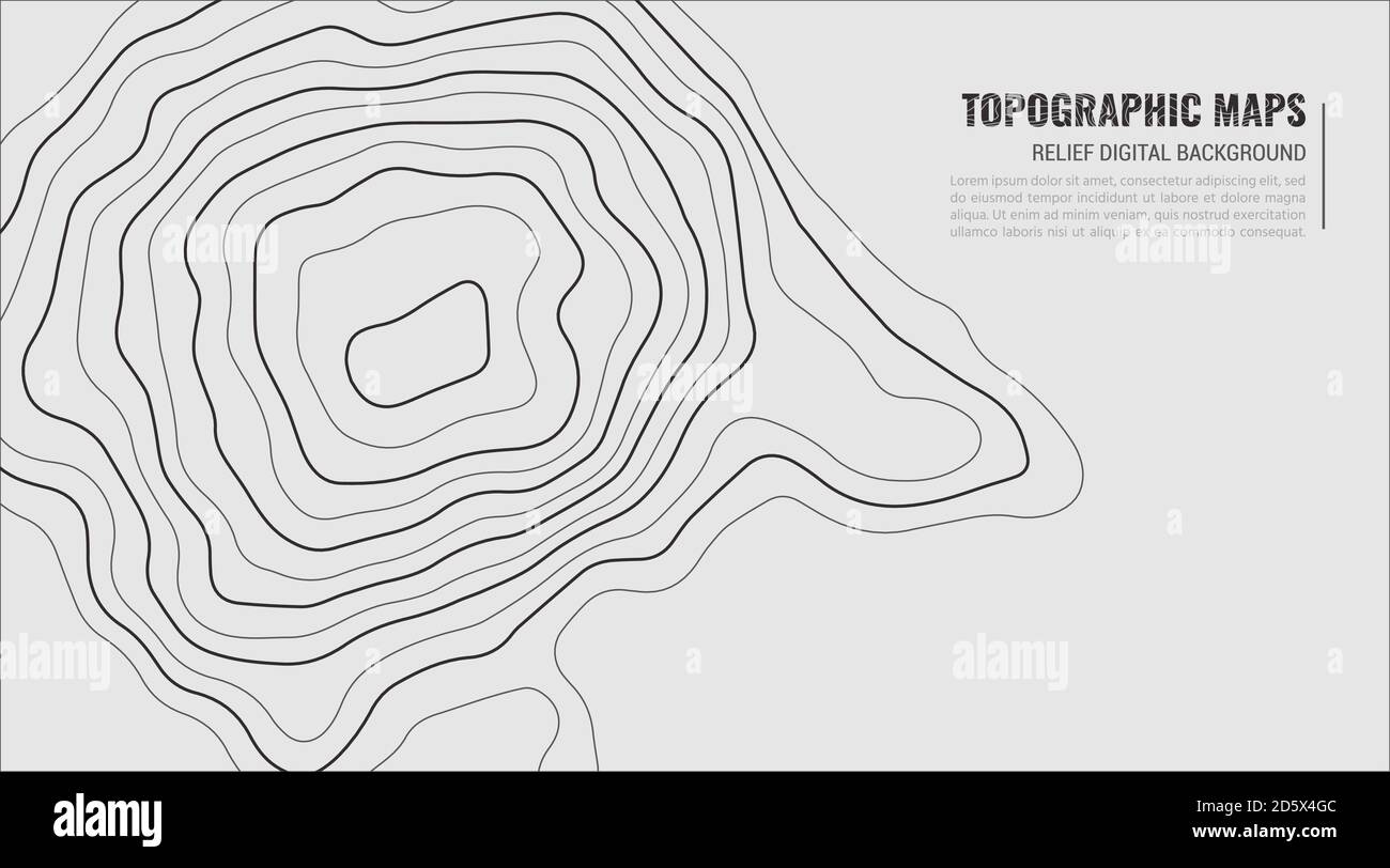Topografia vettoriale dei contorni grigi. Illustrazione del vettore topografico geografico di montagna. Texture del motivo topografico. Mappa su terreno terrestre con contorno in linee. Linee di altezza del contorno grafico elevazione. Illustrazione Vettoriale