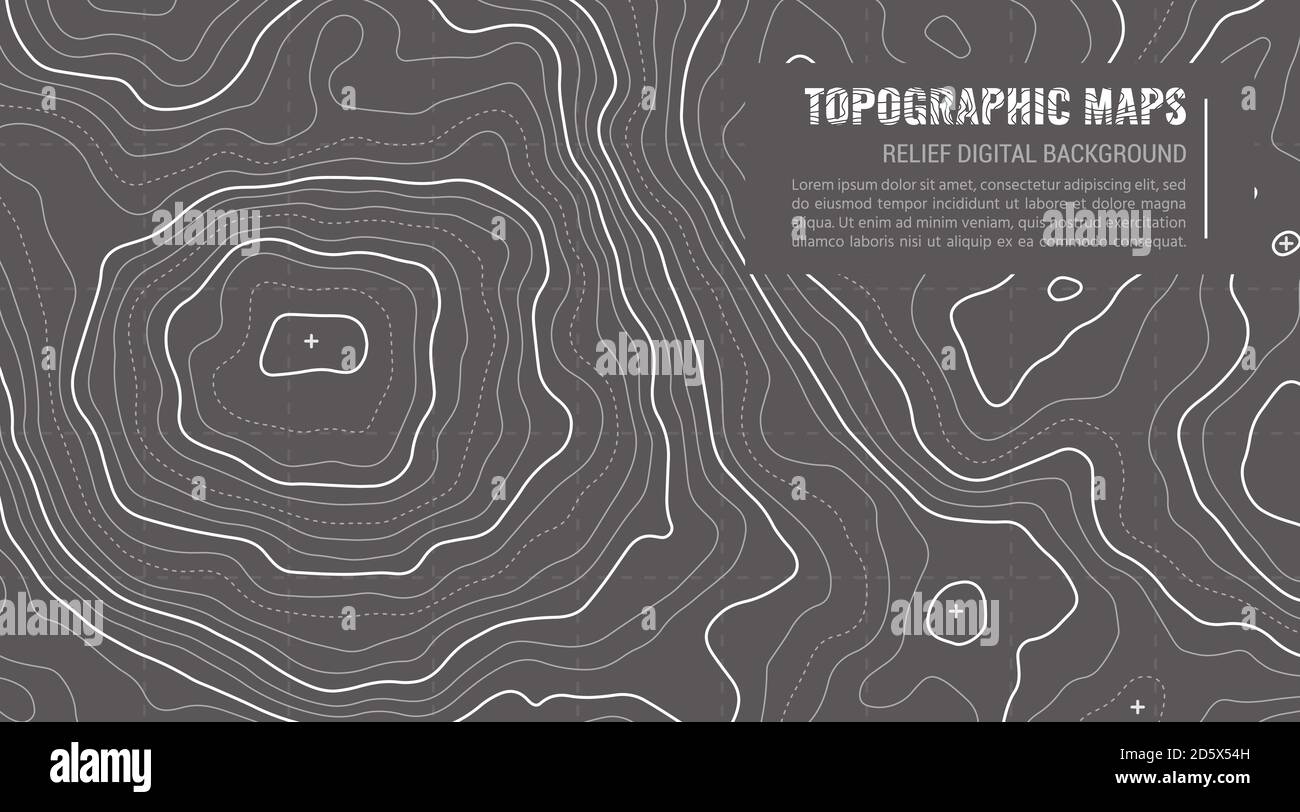 Sfondo del contorno della mappa topografica. Mappa topo con elevazione. Vettore mappa contorno. Topografia geografica Mappa griglia astratta illustrazione vettoriale in grigio. Illustrazione Vettoriale