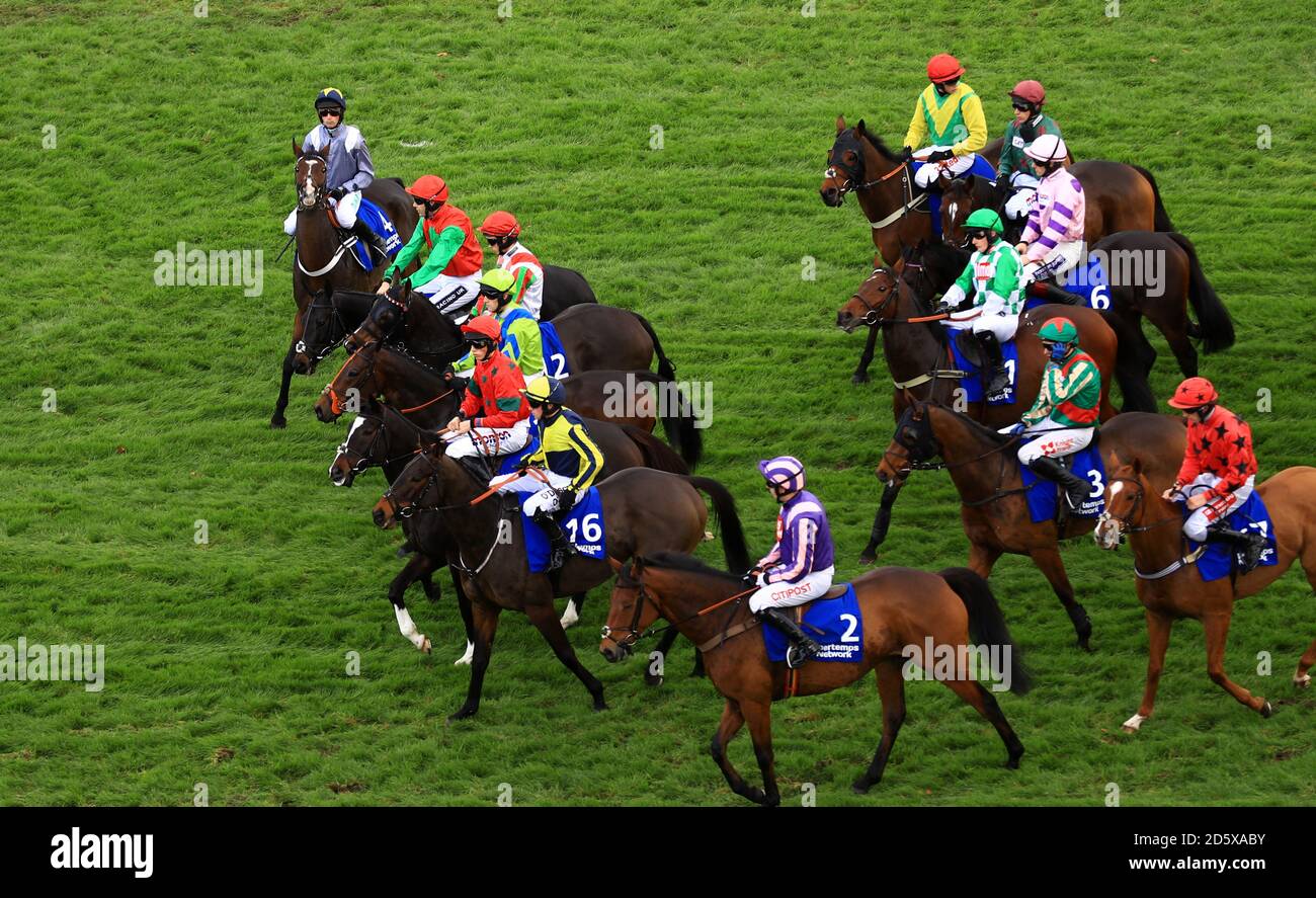 Corridori e piloti prima dell'inizio della rete di Pertemps Handicap Hindle Race durante il secondo giorno della Showcase a. Ippodromo di Cheltenham Foto Stock