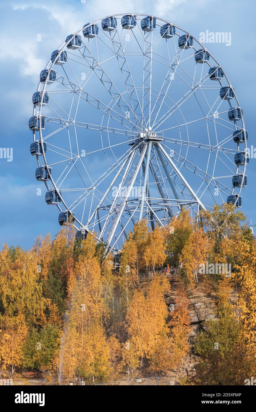 La ruota panoramica è autunno. Alberi con foglie gialle. Foto Stock