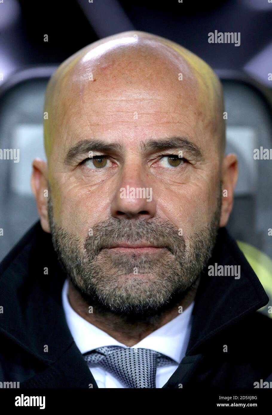 Direttore di Borussia Dortmund Peter Bosz Foto Stock