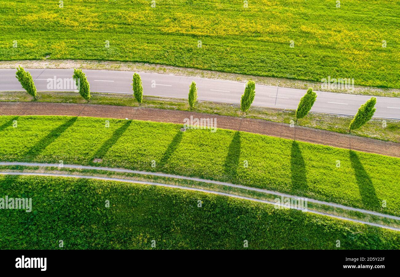 Germania, Baden-Wuerttemberg, Rens-Murr-Kreis, Winterbach, fila di alberi, campo e strada Foto Stock